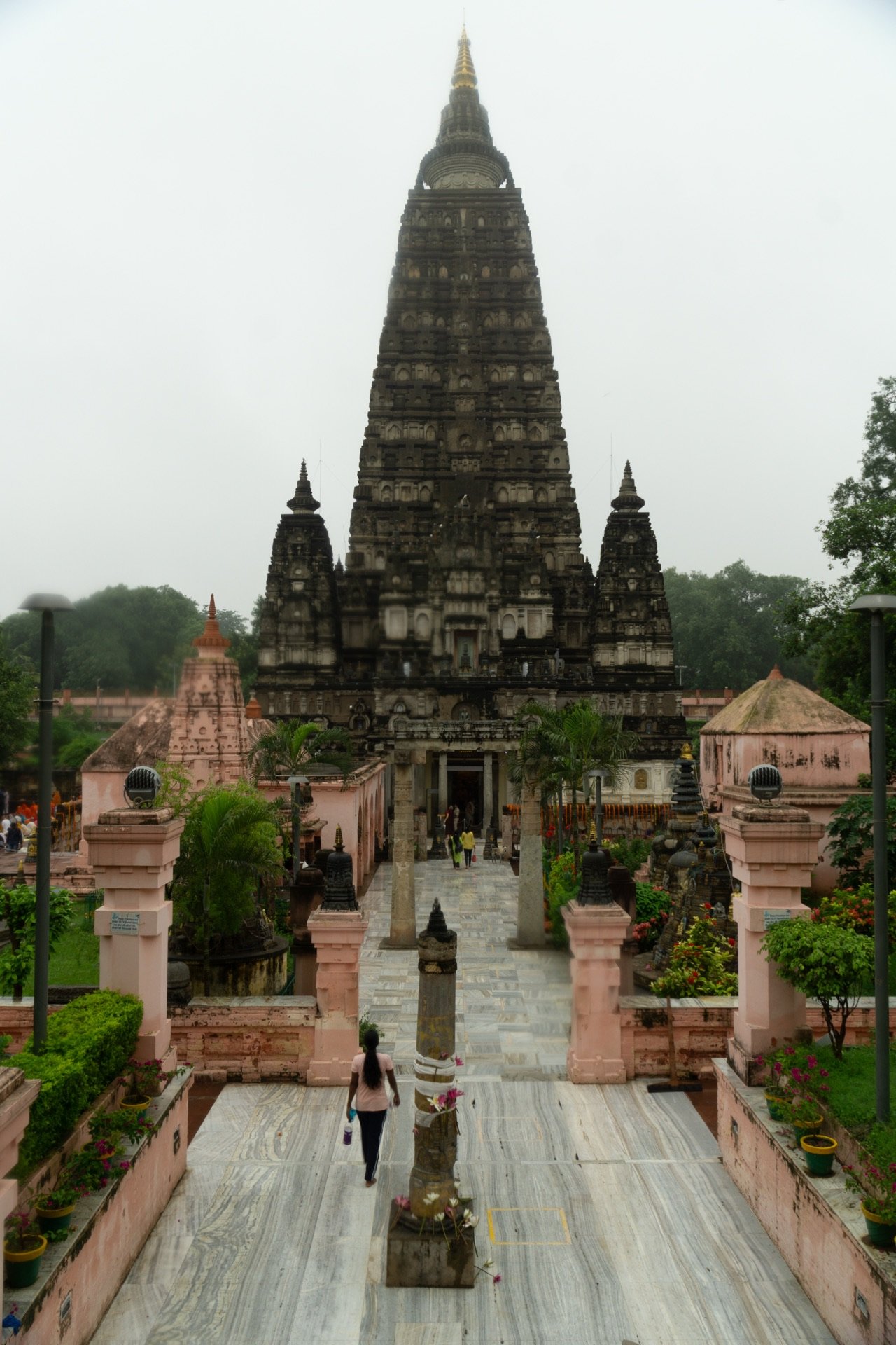 Buddhist Circuit Tourist Train